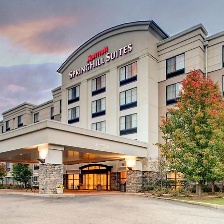 Springhill Suites By Marriott Wheeling Triadelphia Area Dış mekan fotoğraf