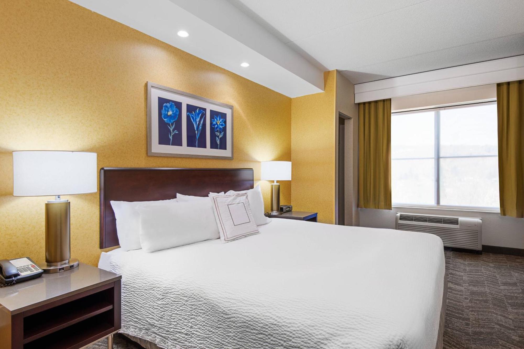 Springhill Suites By Marriott Wheeling Triadelphia Area Dış mekan fotoğraf